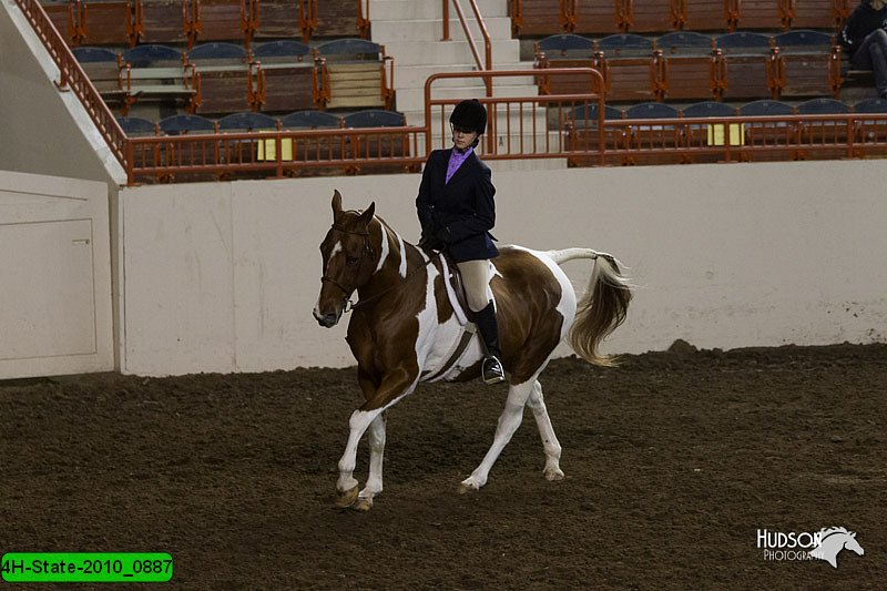 4H-State-2010_0887.jpg