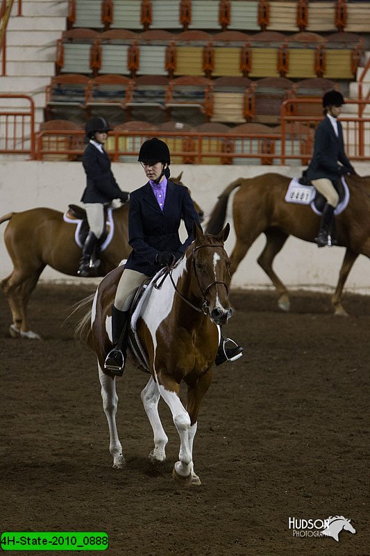 4H-State-2010_0888.jpg