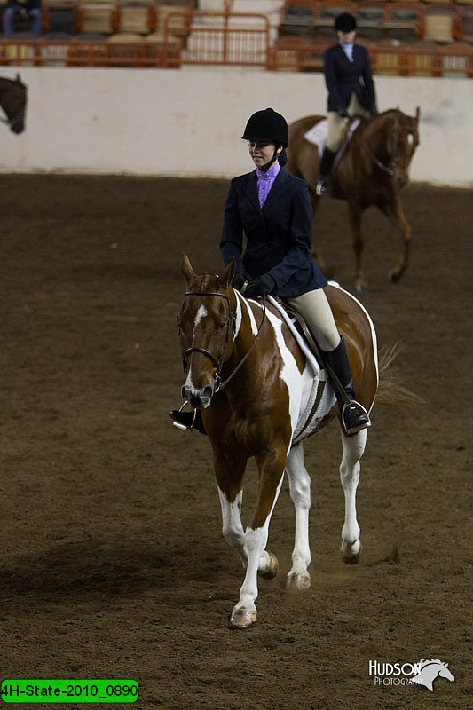 4H-State-2010_0890.jpg