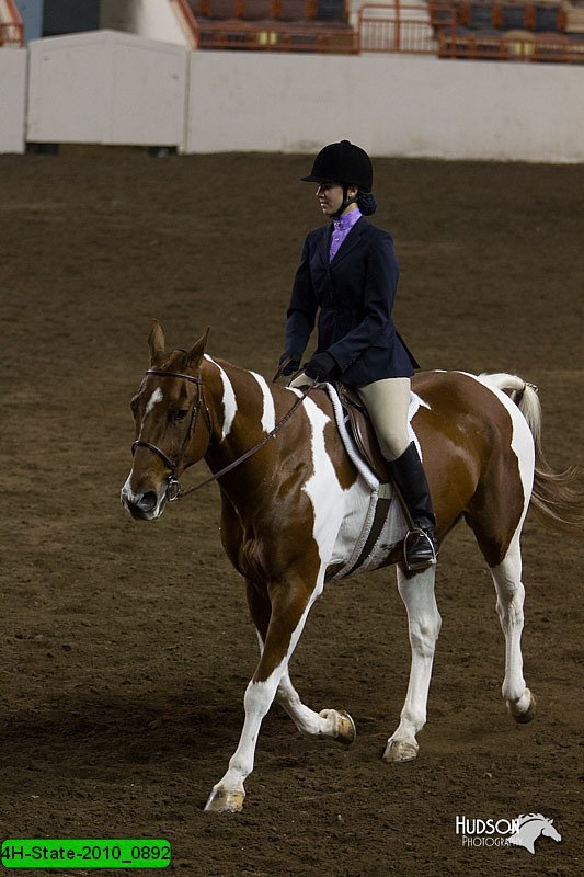 4H-State-2010_0892.jpg
