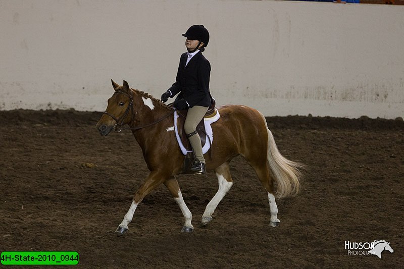 4H-State-2010_0944.jpg