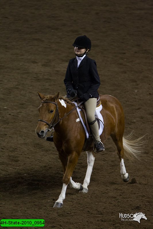 4H-State-2010_0954.jpg