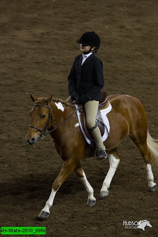 4H-State-2010_0956.jpg