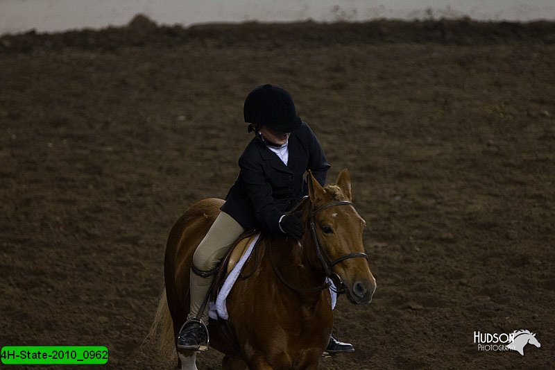4H-State-2010_0962.jpg