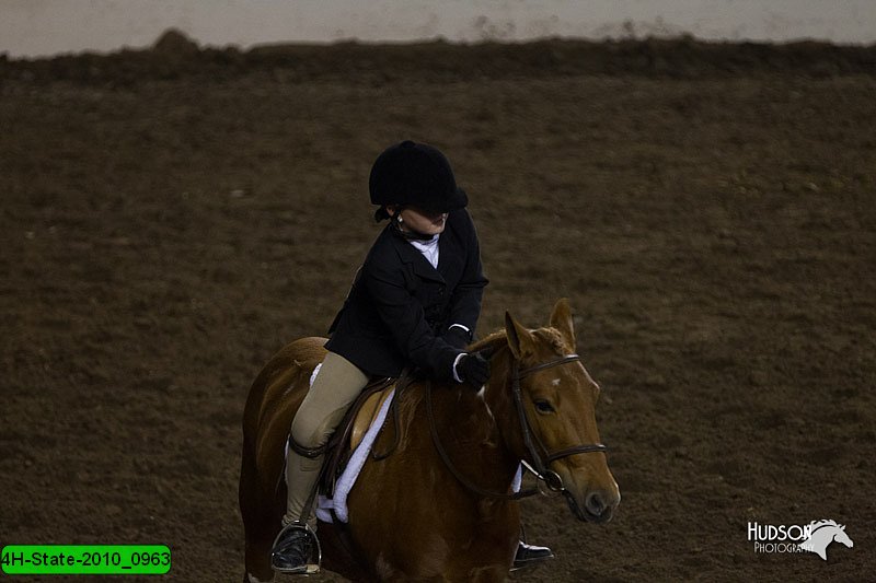 4H-State-2010_0963.jpg