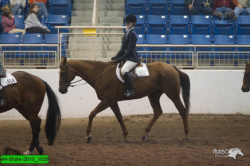 4H-State-2010_1029.jpg
