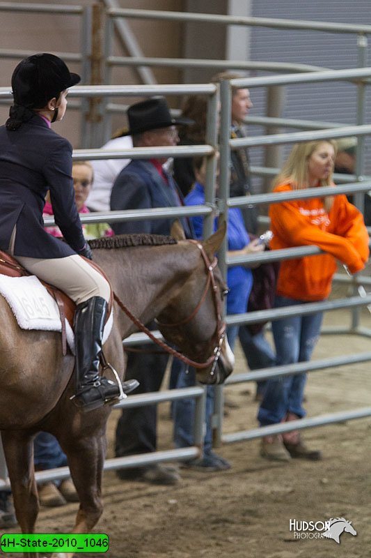 4H-State-2010_1046.jpg