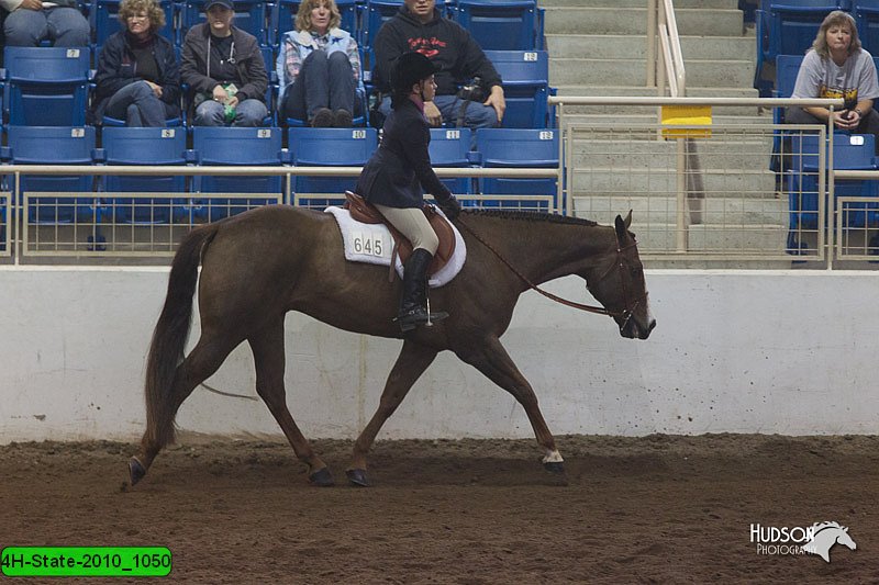 4H-State-2010_1050.jpg