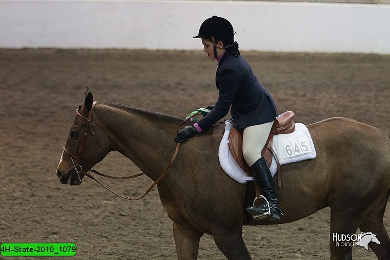 4H-State-2010_1079.jpg