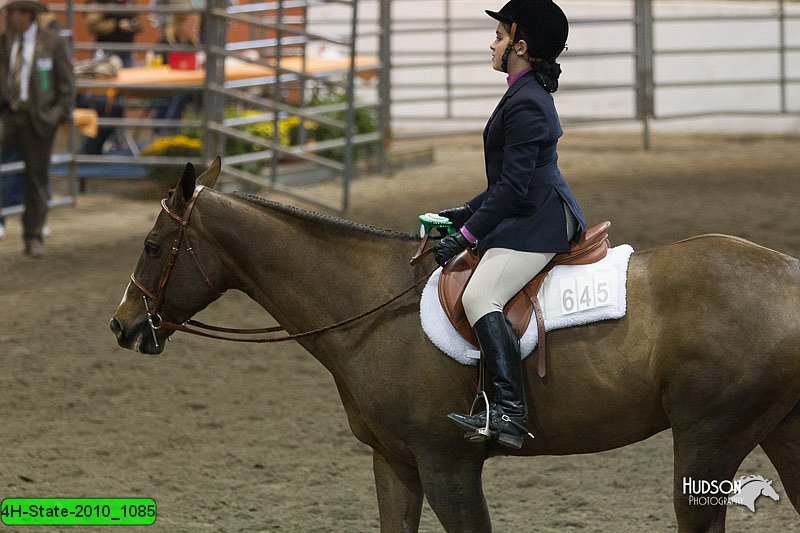 4H-State-2010_1085.jpg