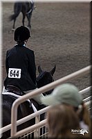 4H-State-2010_0626.jpg