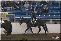 4H-State-2010_0629.jpg