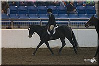 4H-State-2010_0640.jpg