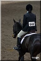 4H-State-2010_0650.jpg