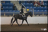 4H-State-2010_0654.jpg