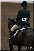 4H-State-2010_0656.jpg