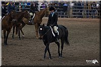 4H-State-2010_0657.jpg