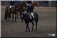 4H-State-2010_0658.jpg