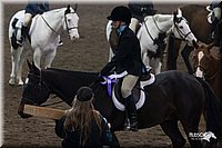 4H-State-2010_0662.jpg