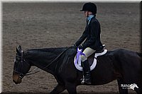 4H-State-2010_0665.jpg