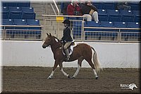4H-State-2010_0669.jpg