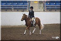4H-State-2010_0670.jpg