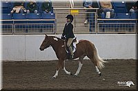 4H-State-2010_0678.jpg
