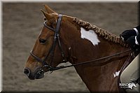 4H-State-2010_0696.jpg
