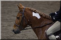 4H-State-2010_0697.jpg
