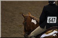 4H-State-2010_0698.jpg