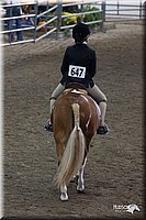 4H-State-2010_0700.jpg