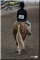 4H-State-2010_0701.jpg