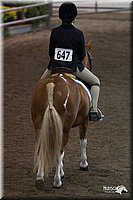 4H-State-2010_0702.jpg