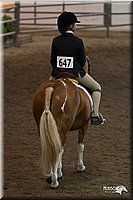 4H-State-2010_0703.jpg