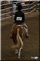 4H-State-2010_0710.jpg