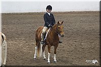4H-State-2010_0720.jpg
