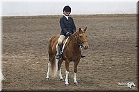 4H-State-2010_0721.jpg