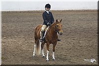4H-State-2010_0722.jpg
