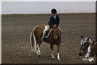 4H-State-2010_0727.jpg