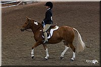 4H-State-2010_0733.jpg
