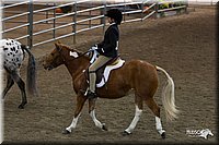 4H-State-2010_0734.jpg