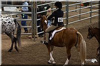 4H-State-2010_0735.jpg