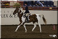 4H-State-2010_0858.jpg