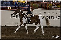 4H-State-2010_0859.jpg