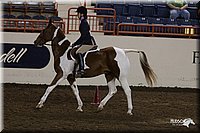 4H-State-2010_0860.jpg