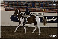 4H-State-2010_0861.jpg