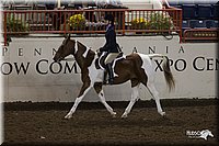 4H-State-2010_0870.jpg