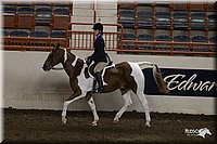 4H-State-2010_0872.jpg