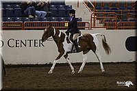 4H-State-2010_0876.jpg