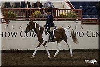 4H-State-2010_0877.jpg